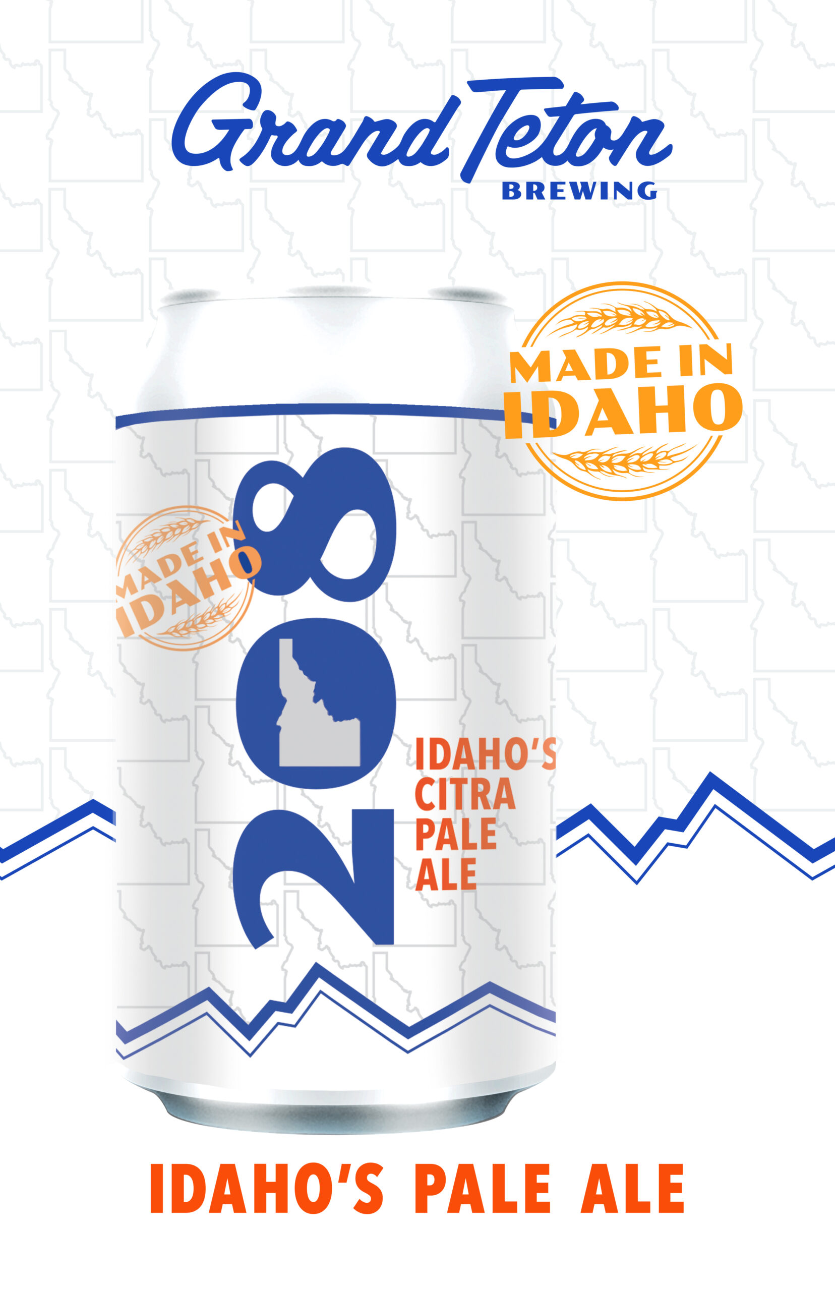 https://grandtetonbrewing.com/wp-content/uploads/2024/10/208-PALE-ALE-Poster11x17-scaled.jpg